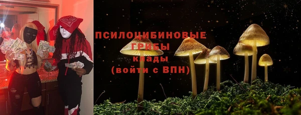 spice Армянск