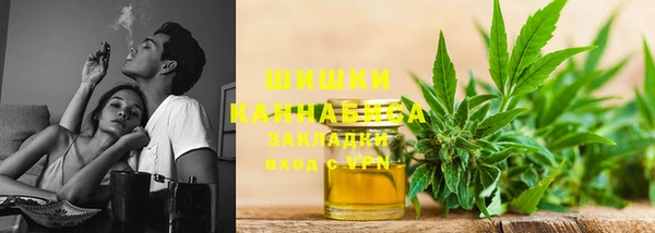 сатива Арсеньев