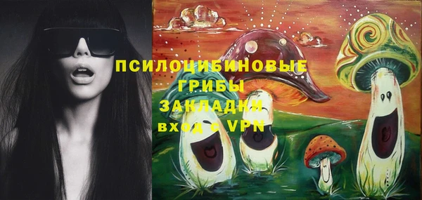 сатива Арсеньев