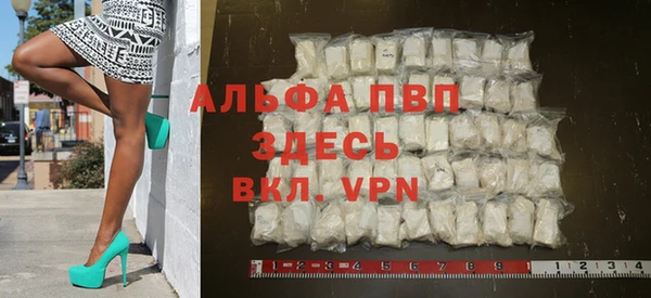 сатива Арсеньев