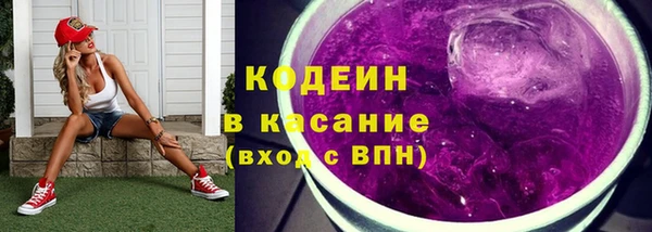 сатива Арсеньев