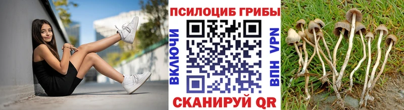 ссылка на мегу зеркало  Георгиевск  Галлюциногенные грибы мухоморы  купить  цена 
